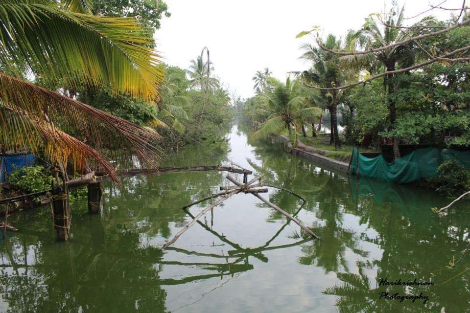 Marari Stella Vich Villa Homestay Turavūr المظهر الخارجي الصورة