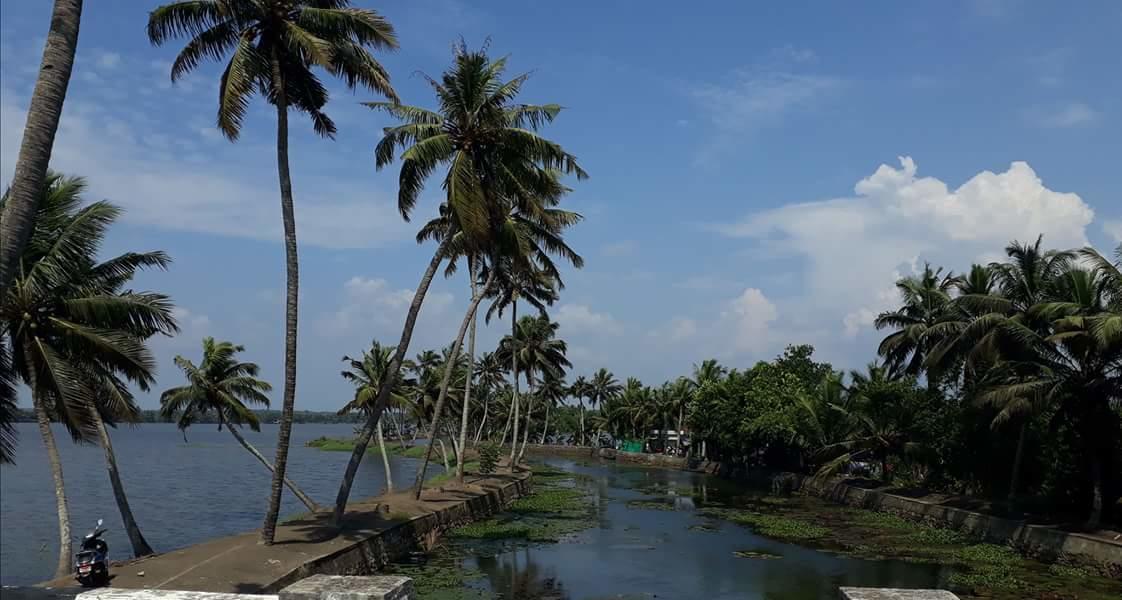 Marari Stella Vich Villa Homestay Turavūr المظهر الخارجي الصورة