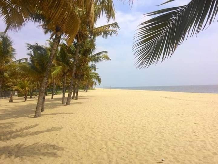 Marari Stella Vich Villa Homestay Turavūr المظهر الخارجي الصورة